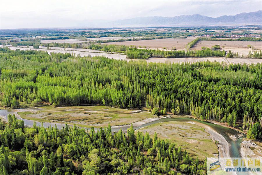 绿意葱茏的博尔塔拉河谷(图1)