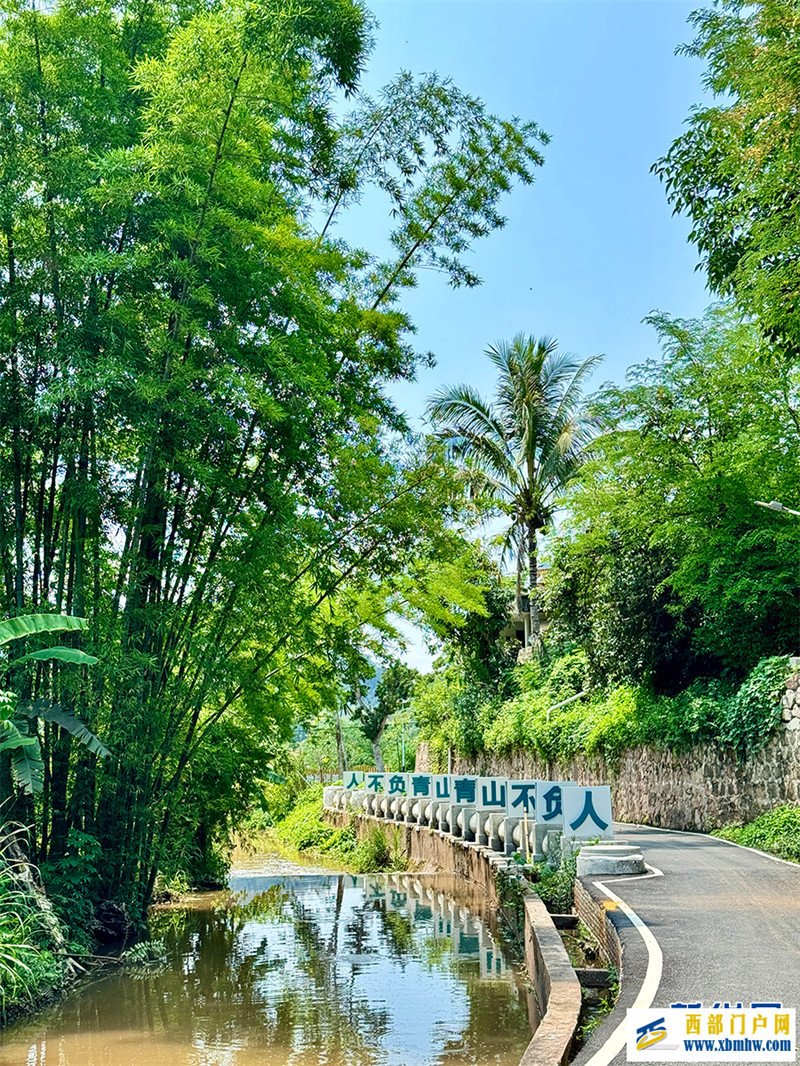 乘中老铁路一路南行 看边陲小镇换新颜(图5)