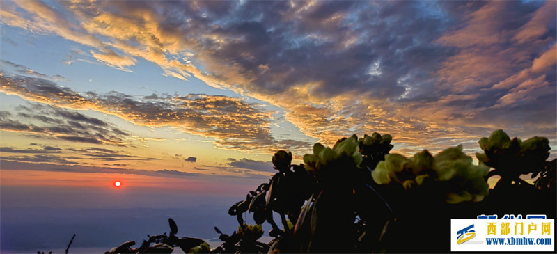 朝霞如锦杜鹃花作伴 共赏大理苍山顶峰美景(图1)