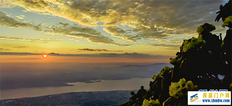 朝霞如锦杜鹃花作伴 共赏大理苍山顶峰美景(图2)