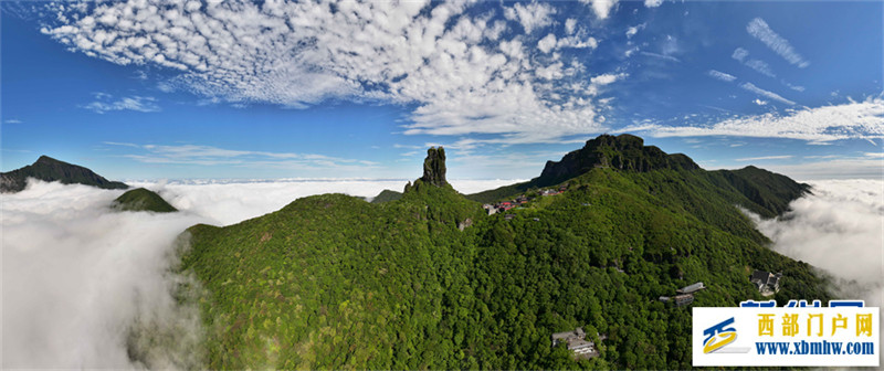 贵州梵净山：夏日葱茏美如画(图1)