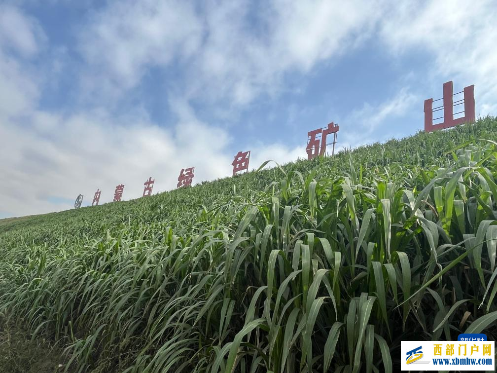 黄河菌草生态安全屏障建设现场座谈会在内蒙古举行(图2)