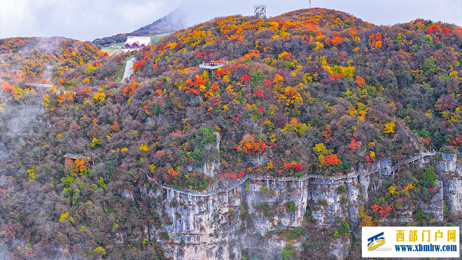 汉中龙头山：千枝万叶披霞锦 秋色斑斓碧云边(图2)