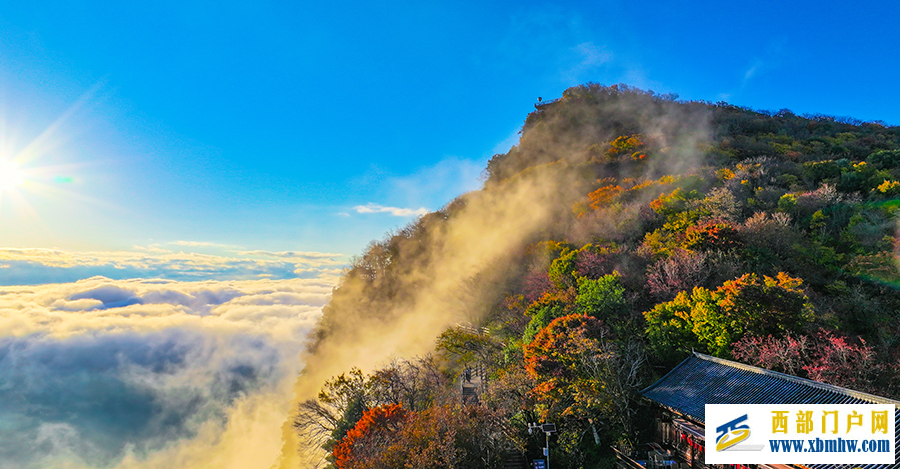 汉中龙头山：千枝万叶披霞锦 秋色斑斓碧云边(图3)