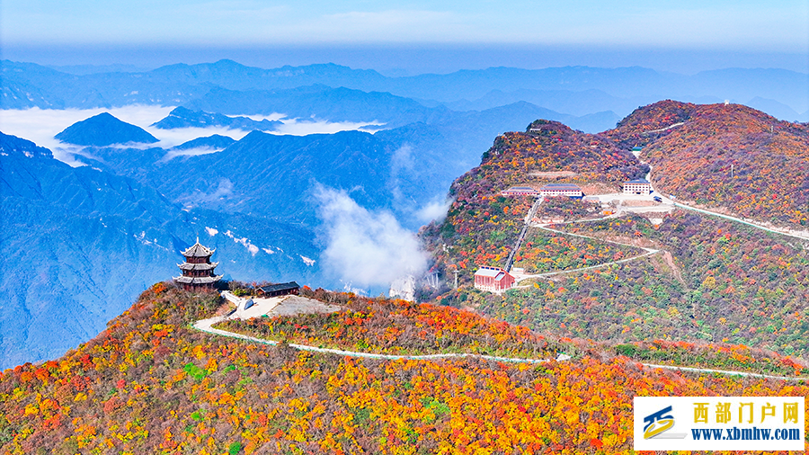 汉中龙头山：千枝万叶披霞锦 秋色斑斓碧云边(图5)