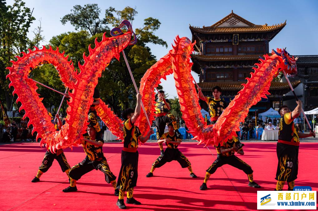 龙舞春城 情谊相连——马来西亚舞龙队的中国之旅(图9)