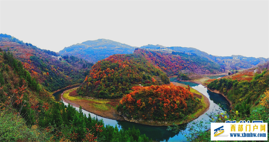 六盘水钟山区： 红叶满山 冬景如画(图1)