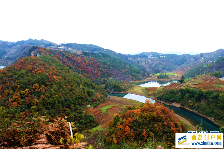 六盘水钟山区： 红叶满山 冬景如画(图2)