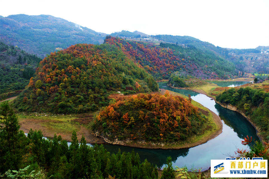 六盘水钟山区： 红叶满山 冬景如画(图3)