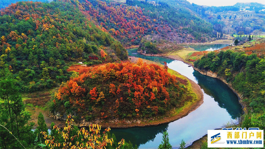 六盘水钟山区： 红叶满山 冬景如画(图5)