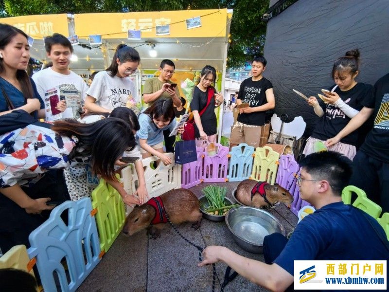 “瓜香溢山城·渝哈一家亲”活动在重庆市江北区隆重举行(图3) “瓜香溢山城·渝哈一家亲”活动在重庆市江北区隆重举行(图3)