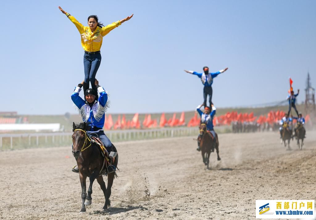 盛夏时节 在新疆昭苏领略万马奔腾(图10)