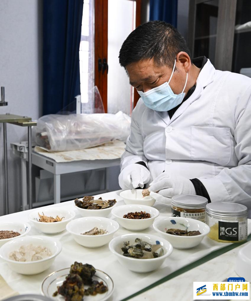 西藏布达拉宫：贝叶经实验性修复取得阶段性成果(图5)