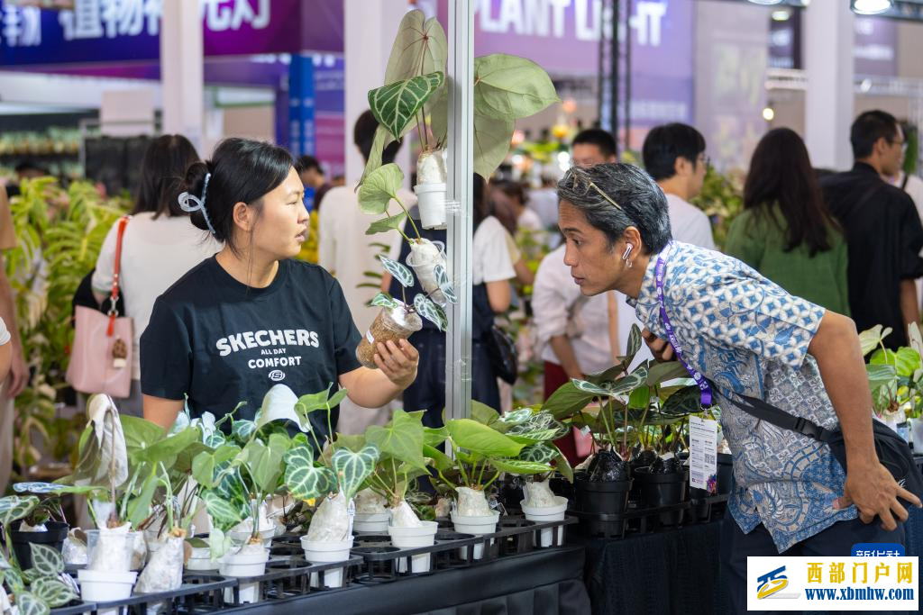 第二十三届中国昆明国际花卉展开幕(图8) 第二十三届中国昆明国际花卉展开幕(图8)