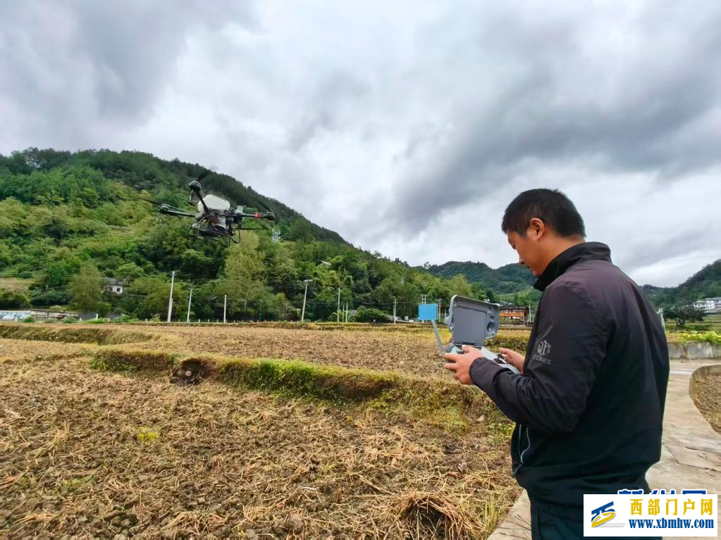 贵州道真:无人机播撒油菜籽 科技赋能秋种忙(图2) 贵州道真:无人机播撒油菜籽 科技赋能秋种忙(图2)