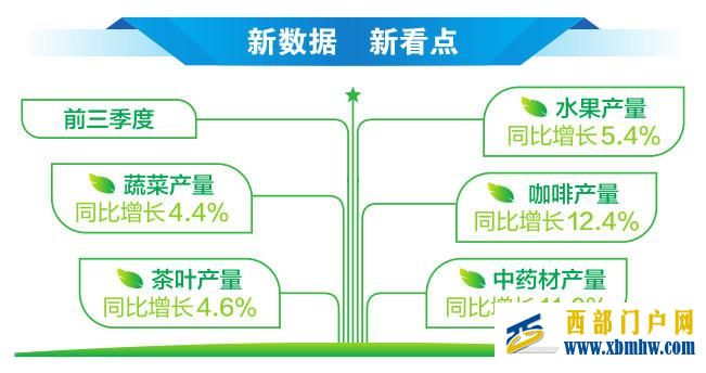 云南高原特色农业展现强劲韧性与活力(图1)