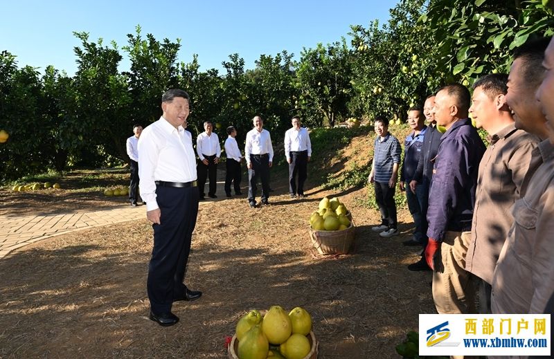 习近平在广东考察时强调(图6) 习近平在广东考察时强调(图6)