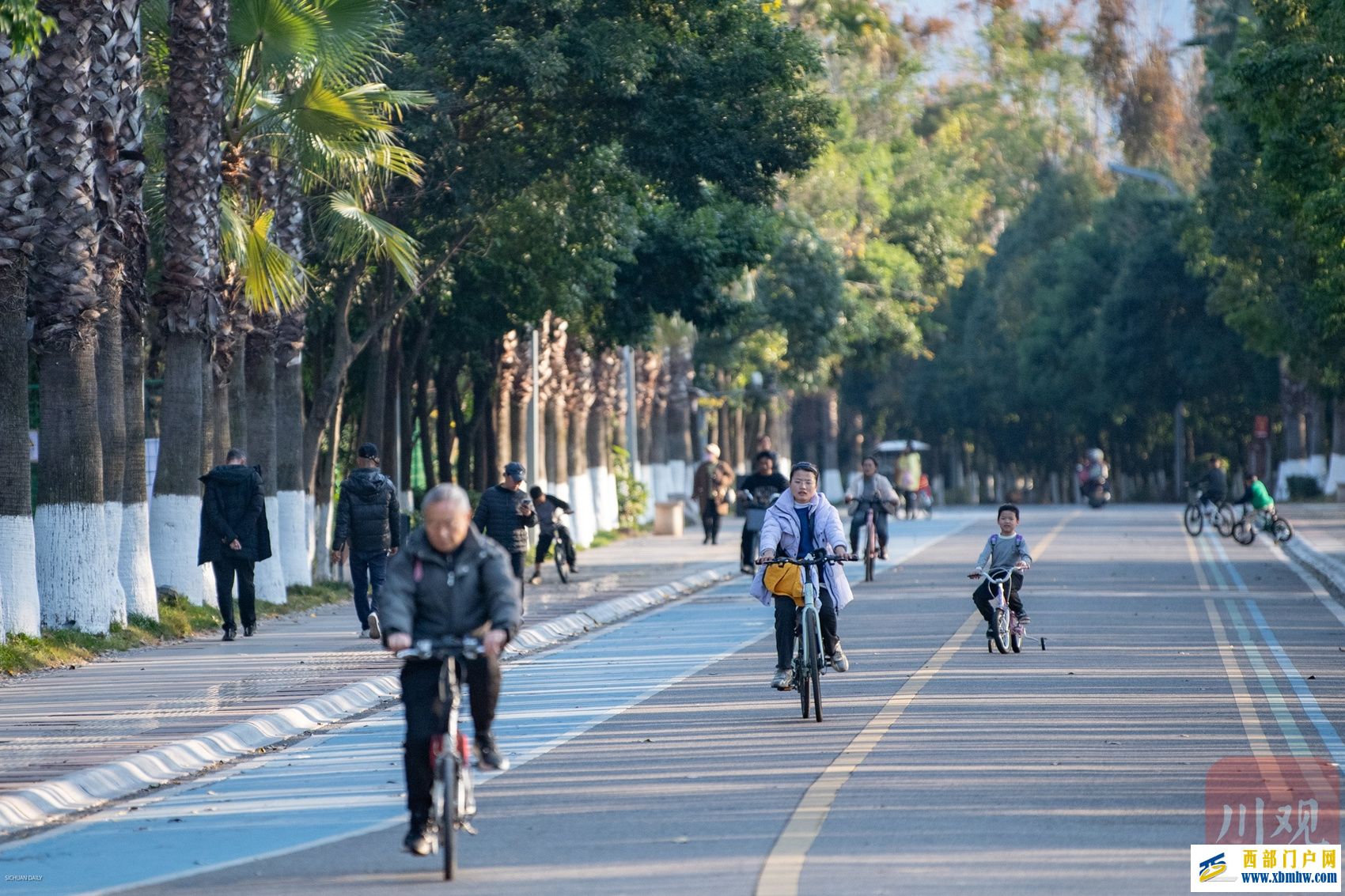 西昌邛海喊你来过“暖冬” 骑上单车闯入一片刺桐花海(图3) 西昌邛海喊你来过“暖冬” 骑上单车闯入一片刺桐花海(图3)
