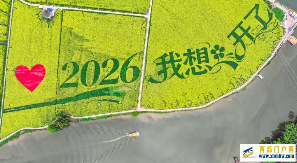 重庆潼南:油菜花开迎客来(图3) 重庆潼南:油菜花开迎客来(图3)