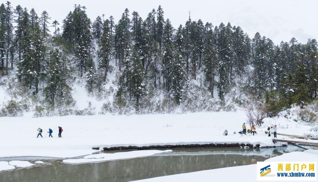 西藏白普隆沟：在漫天风雪中追寻春天(图4)