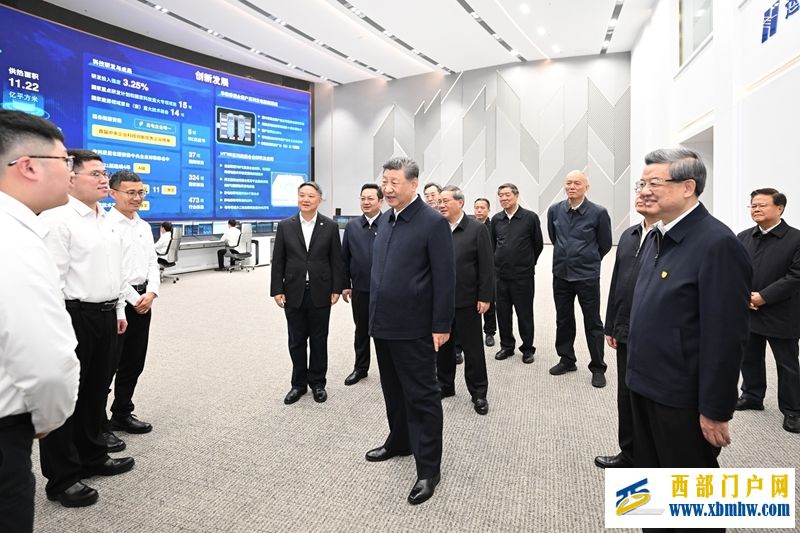 习近平在河北雄安新区考察(图2)