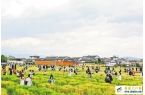 “五一”假期云南多地游客量与花费双增